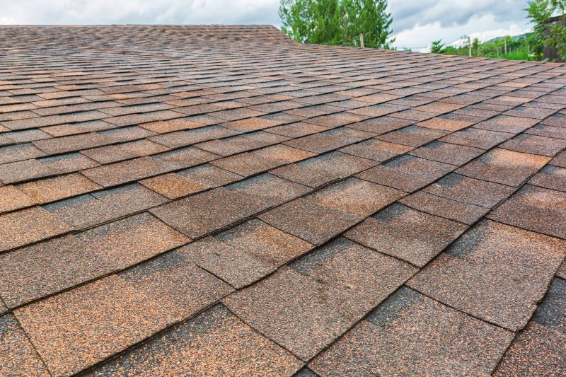 Complete Shingle Replacement